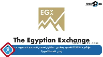مؤشر EGX35-LV الجديد يعكس استقرار أسعار الأسهم المصرية: ماذا يعني للمستثمرين؟